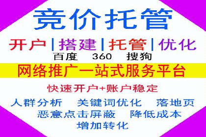 电商平台信息流广告的投放策略与效果评估案例